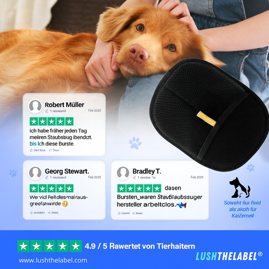 The Magic Lush Brush™ | Reinigen Wie Magie